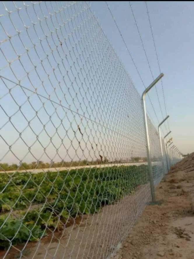 تركيب شبوك مزارع بالرياض والمدينة